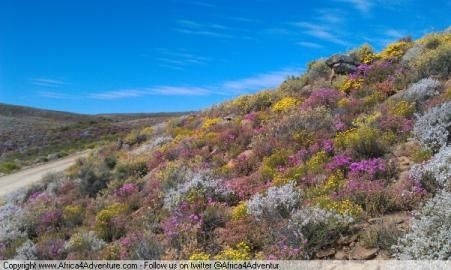 breede-river-to-sutherland-