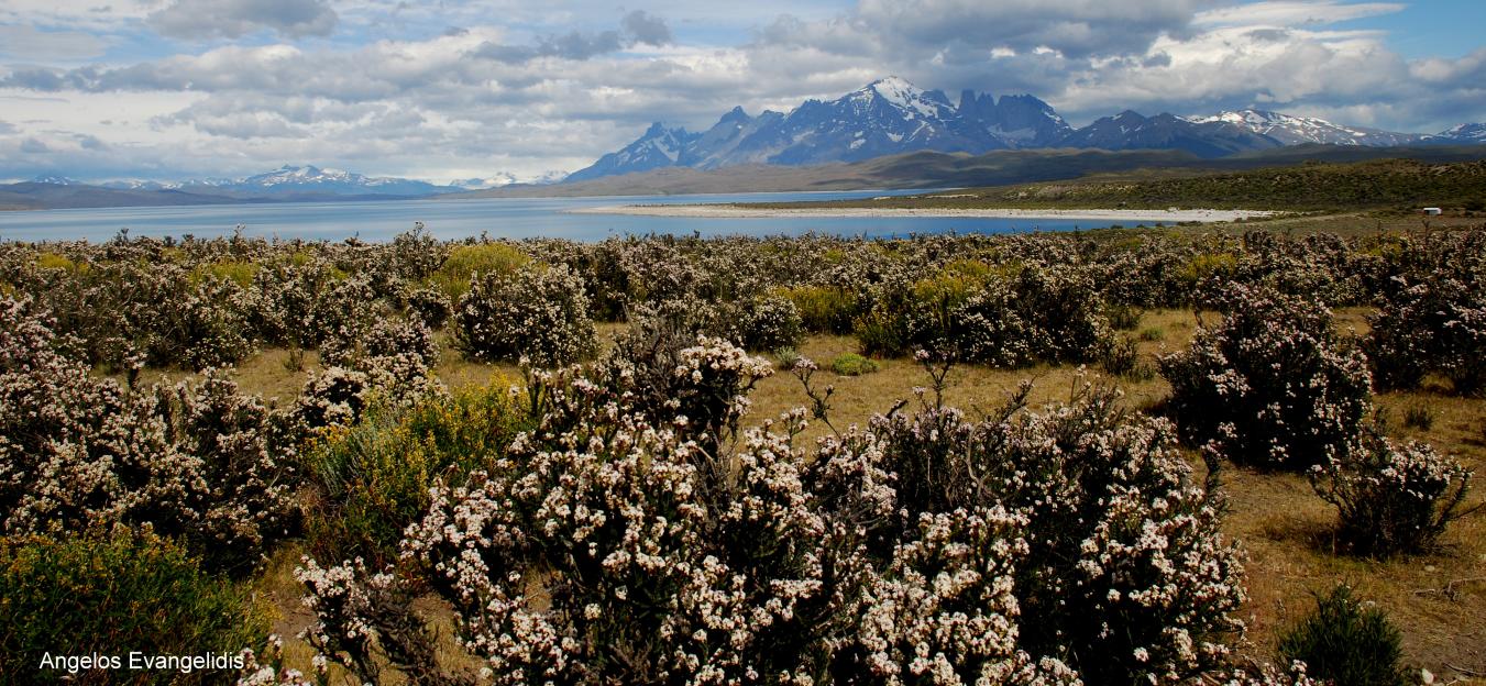 torres-del-paine-