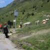 Balade Moto d918--col-d-aspin- photo