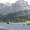 Balade Moto ss243--passo-di- photo
