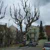 Balade Moto c61--bv5301-arenys- photo