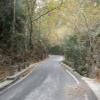 Balade Moto therisiano-gorge--theriso- photo