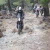 Balade Moto katharo--males- photo