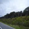 Balade Moto 6--greymouth-- photo