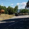 Balade Moto d2204--breil-sur-roya-- photo
