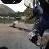 Balade Moto konispol-bundrit-wooden-ferry-- photo