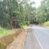 Motorcycle Road cairns-tour--cairns- photo