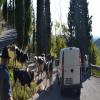 Balade Moto sacrario-del-monte-grappa- photo