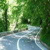 Motorcycle Road sp263--passo-dello- photo