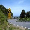 Balade Moto coromandel-circuit-nz_ttc-3-- photo