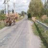 Balade Moto babadag--murighiol-- photo