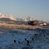 Balade Moto alaska--tour-from- photo