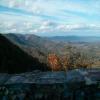 Balade Moto stuart-to-blue-ridge- photo
