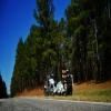 Balade Moto sumter-national-forest-2- photo