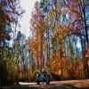 Balade Moto sumter-national-forest-2- photo