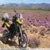 Balade Moto breede-river-to-sutherland- photo