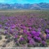 Balade Moto breede-river-to-sutherland- photo