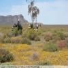 Balade Moto breede-river-to-sutherland- photo