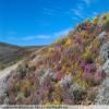 Balade Moto breede-river-to-sutherland- photo