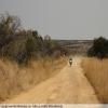 Balade Moto backroad-from-bulawayo-to- photo