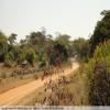 Balade Moto backroad-from-bulawayo-to- photo