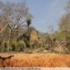 Balade Moto backroad-from-bulawayo-to- photo