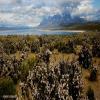 Balade Moto torres-del-paine- photo