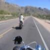 Balade Moto mount-lemmon-highway-- photo